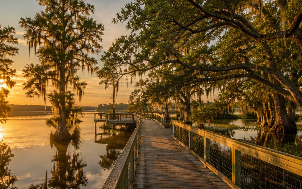 Walk the boardwalk at Estella Park